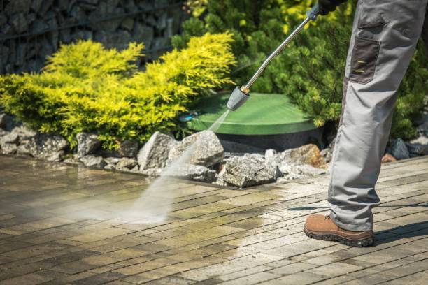 Best Animal Enclosure Cleaning  in Highland, AR
